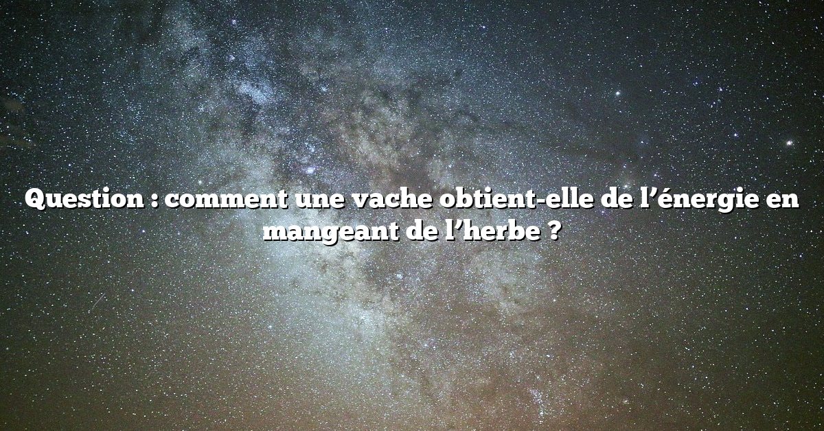Question : comment une vache obtient-elle de l’énergie en mangeant de l’herbe ?
